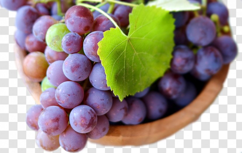 Common Grape Vine Berry Food Wallpaper - Sultana - Free Creative Pull Harvest Grapes Transparent PNG