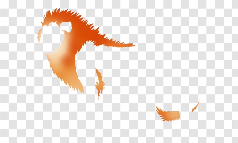 Feather Desktop Wallpaper Tail Beak - Carnivora - Fiery Transparent PNG