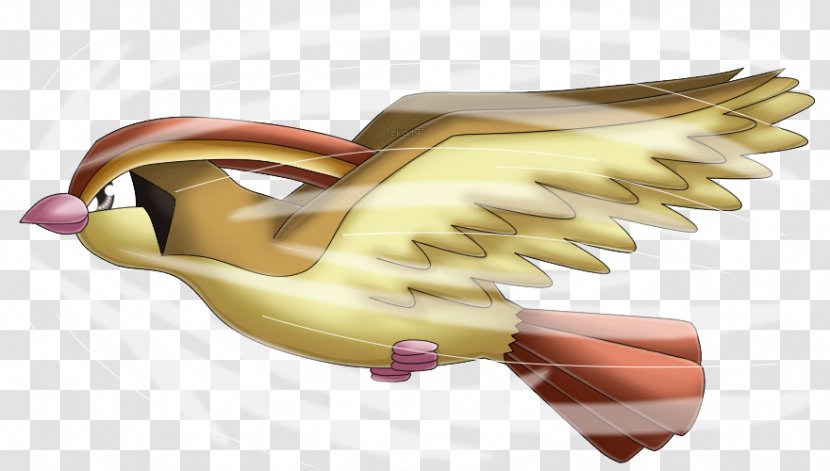 Pokémon Gold And Silver Pidgeotto Absol - Aerial Transparent PNG