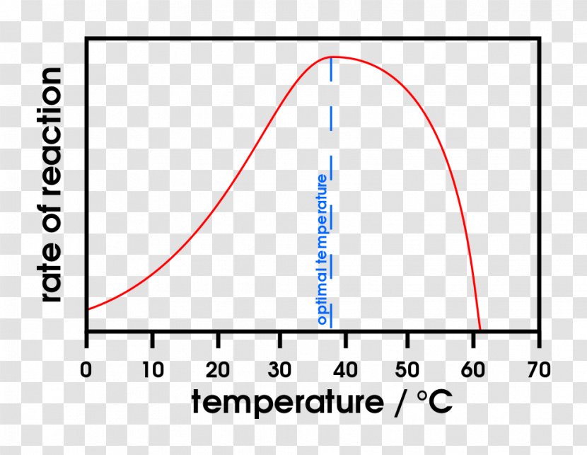 Enzyme Substrate Chemical Reaction Thermodynamic Activity PH - Amylase - Number Transparent PNG