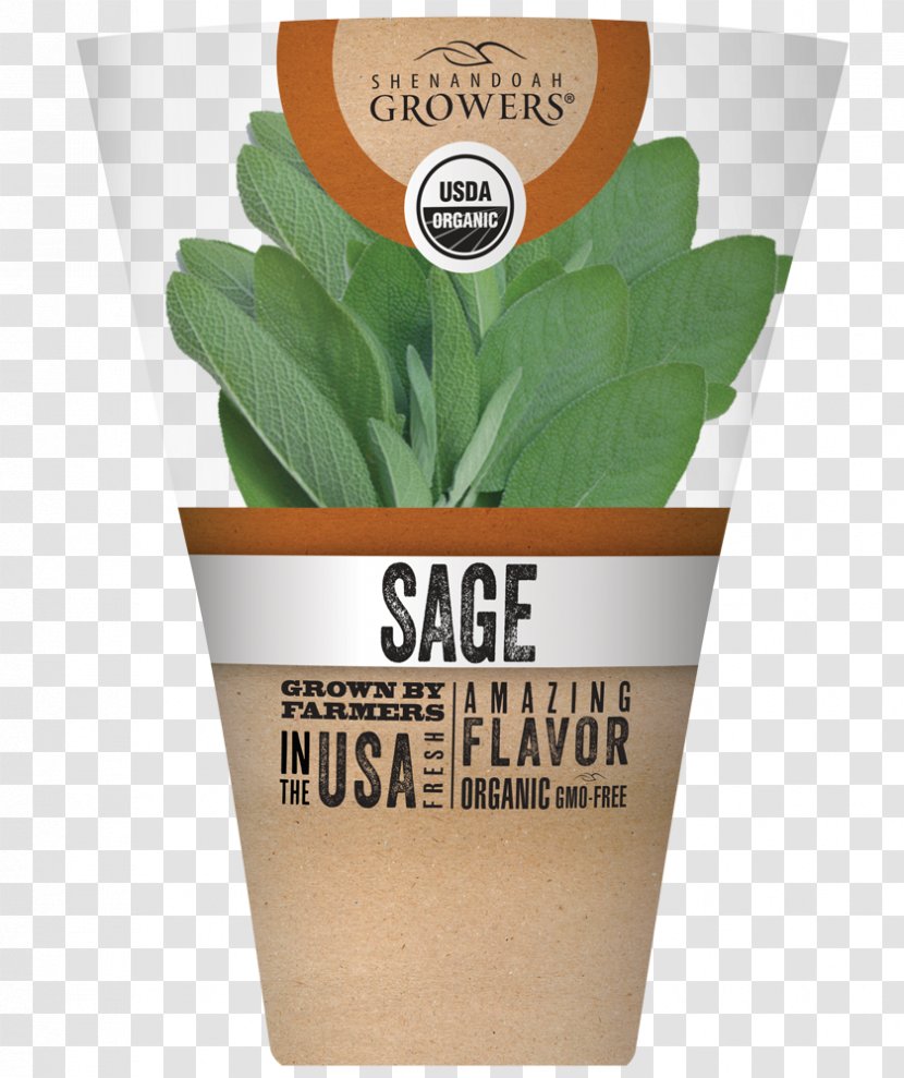 Herb Organic Food Flavor Shenandoah Growers Inc. Plant - Flowerpot Transparent PNG