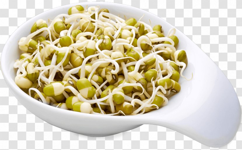 Vegetarian Cuisine Food Sprouting Mung Bean - Taglierini Transparent PNG