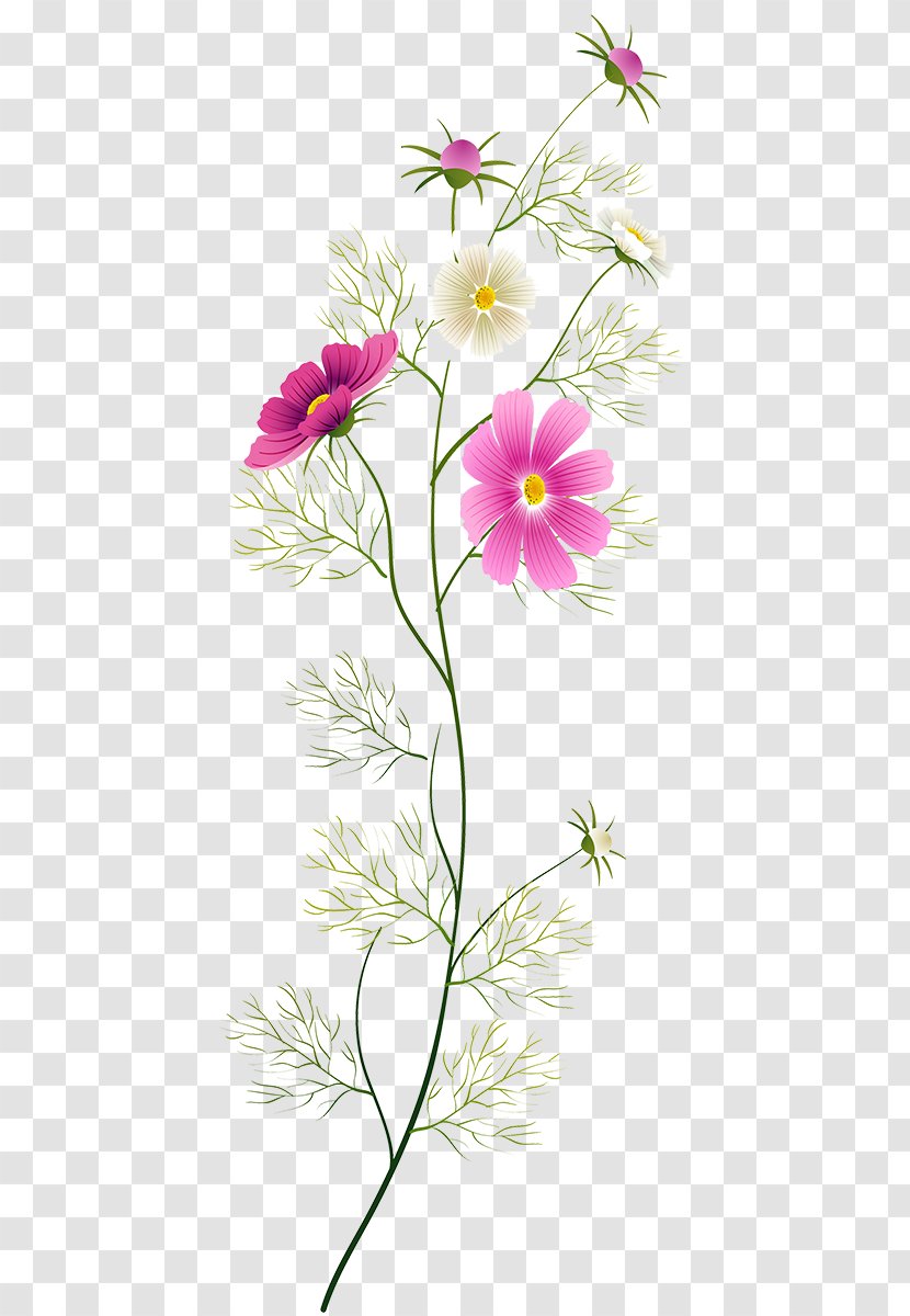 Floral Design Drawing Watercolor Painting Flower - Violet Family Transparent PNG