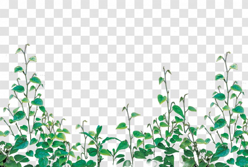 Greenery - Tree - Plant Transparent PNG