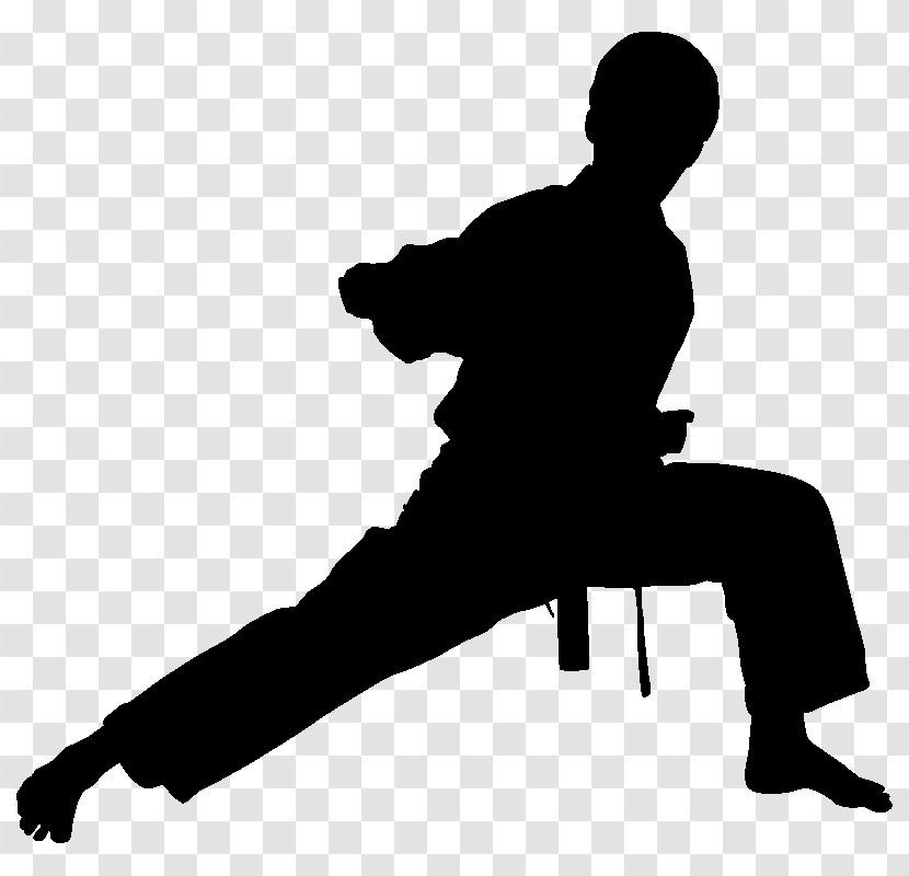 Chinese Martial Arts Karate Wall Decal Taekwondo - Muay Thai - Clipart Transparent PNG