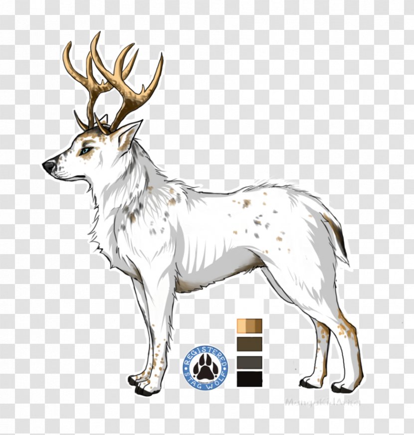 Reindeer Elk Musk Deers Antler - Deer Transparent PNG