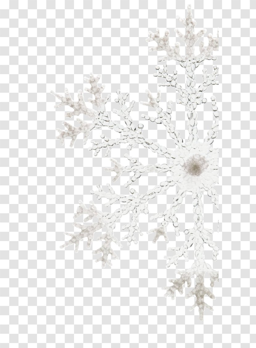 Snowflake / Transparent Stock Photography - Ice Age - Sparkling Snowflakes Transparent PNG