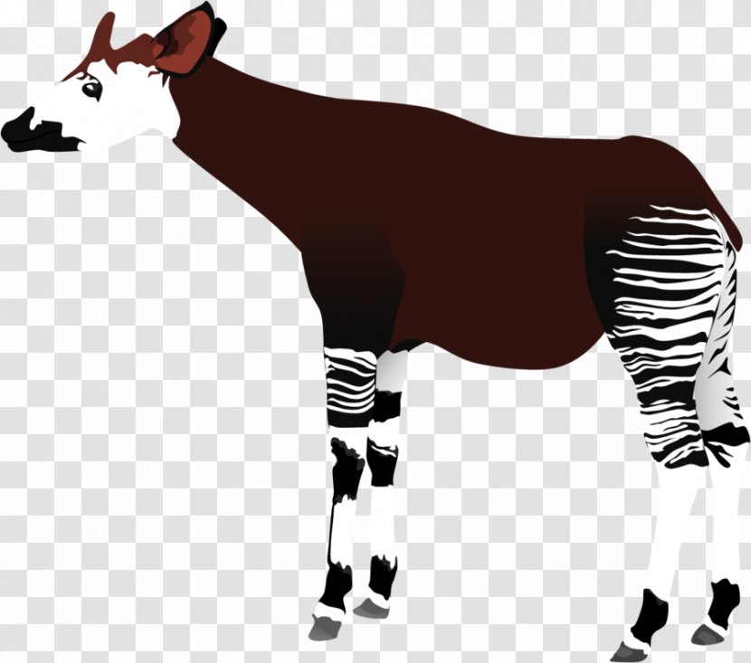 Okapi Giraffe Drawing Clip Art - Horse Like Mammal - We Clipart Transparent PNG