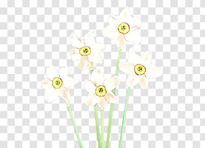 Yellow Flower Plant Cut Flowers Narcissus - Wildflower Transparent PNG