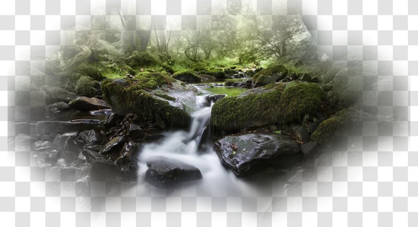 Desktop Wallpaper River Waterfall 1080p - Water Feature - Grass Transparent PNG