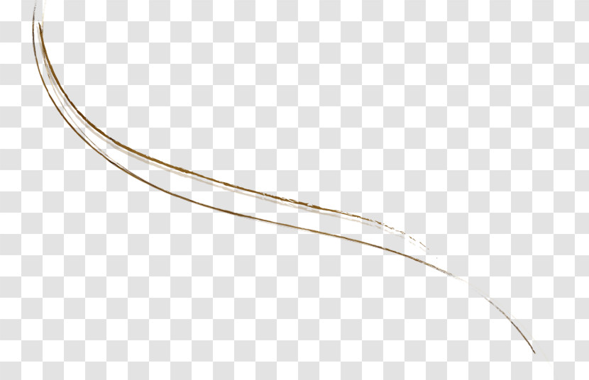 Feather Transparent PNG