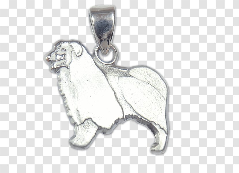 Locket Airedale Terrier Bearded Collie Australian Shepherd Charms & Pendants - Necklace Transparent PNG