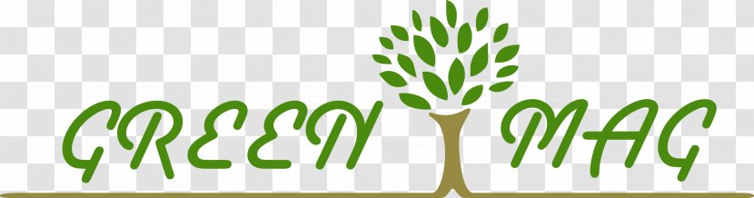 Logo Font Brand Grasses Flora - Grass Family Transparent PNG