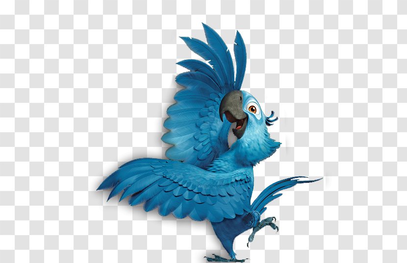 Blu Txfalio Rio Film Clip Art - Common Pet Parakeet - Parrot Transparent PNG
