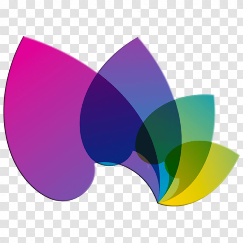 Logo Royalty-free Flower - Magenta Transparent PNG