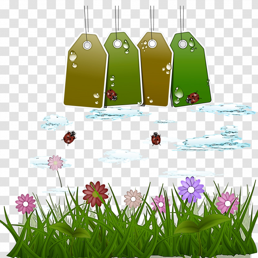 Green Grass Water Plant Lawn Transparent PNG