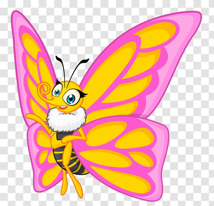Butterfly Insect Cartoon Illustration - Monarch - Miss Transparent PNG