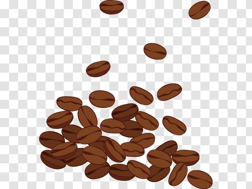 Coffee Bean Clip Art - Nuts Seeds - Beans Transparent PNG