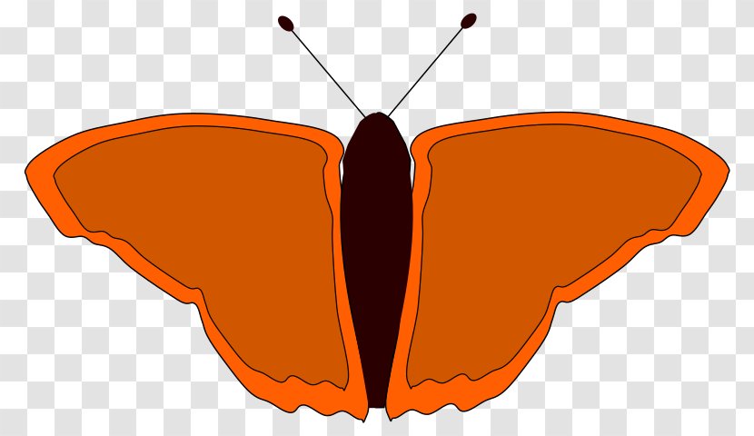 Monarch Butterfly Insect Clip Art - Invertebrate Transparent PNG
