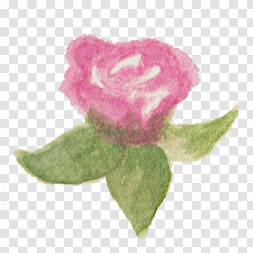 Watercolour Flowers Garden Roses Watercolor Painting - Magenta Transparent PNG