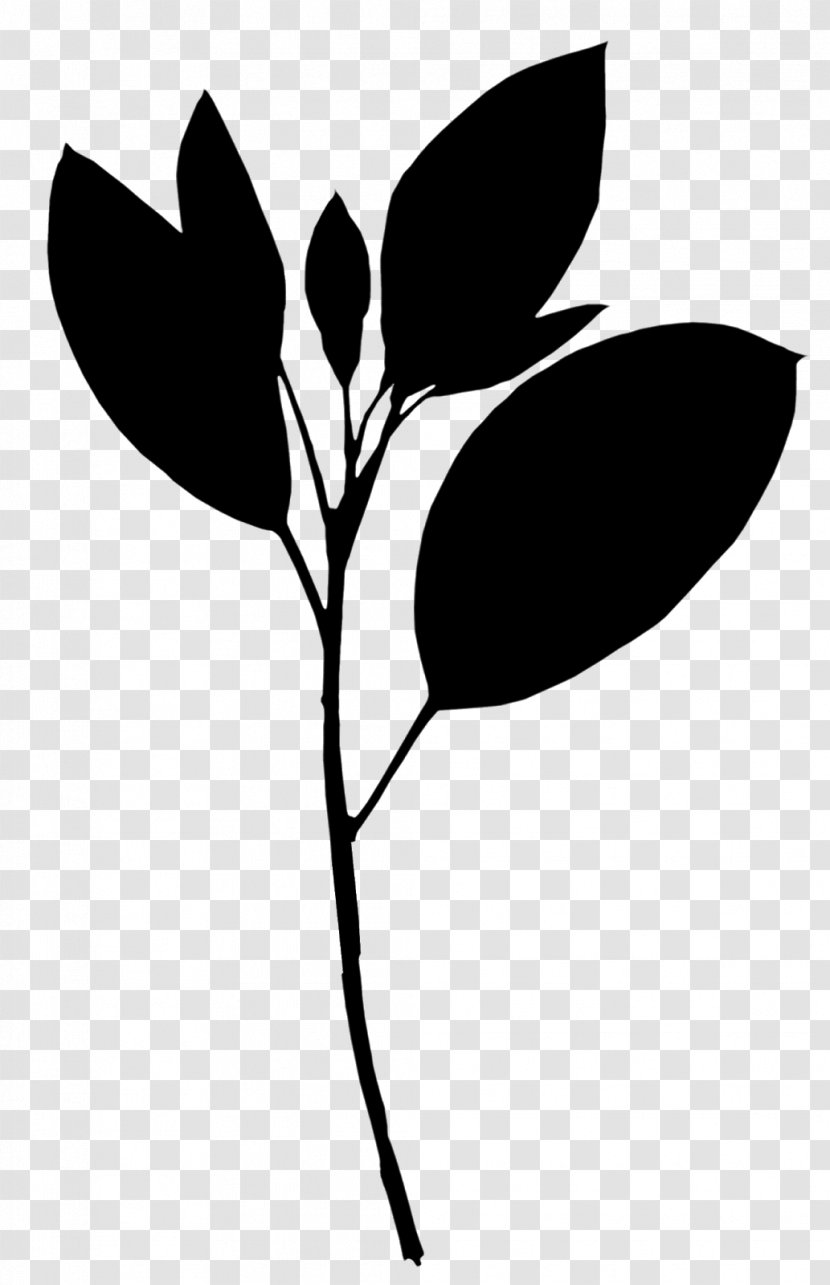 Clip Art Black & White - Branch - M Flower Leaf Plant Stem Transparent PNG