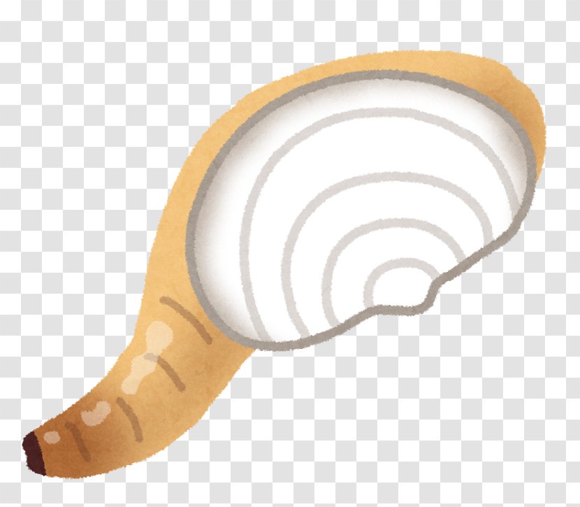 Product Design Ear Transparent PNG