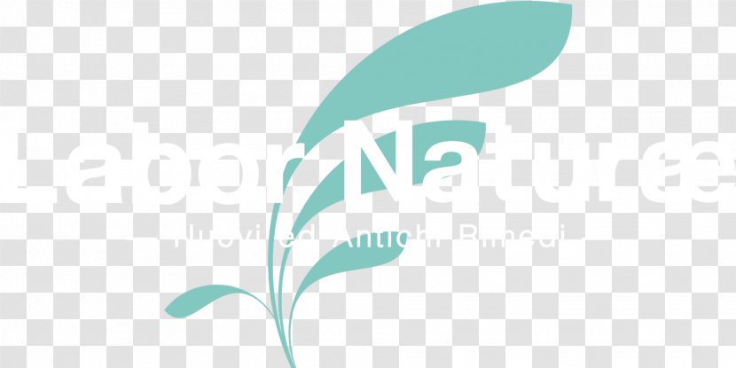 Logo Desktop Wallpaper Font - Brand - Feather Transparent PNG