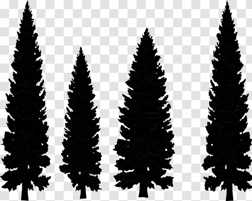 Clip Art Pine Drawing Vector Graphics Conifers - Red - Fir Transparent PNG