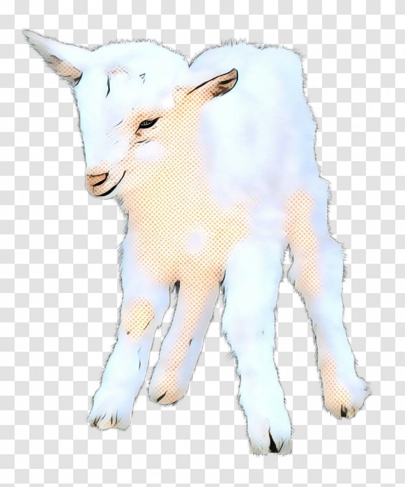 Eid Al Adha Islamic Background - Goat - Wildlife Cowgoat Family Transparent PNG