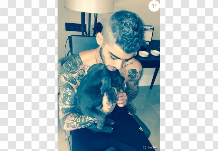 Tattoo Removal Ink Intimate Relationship Breakup - Teen Vogue - Zayn Malik Transparent PNG