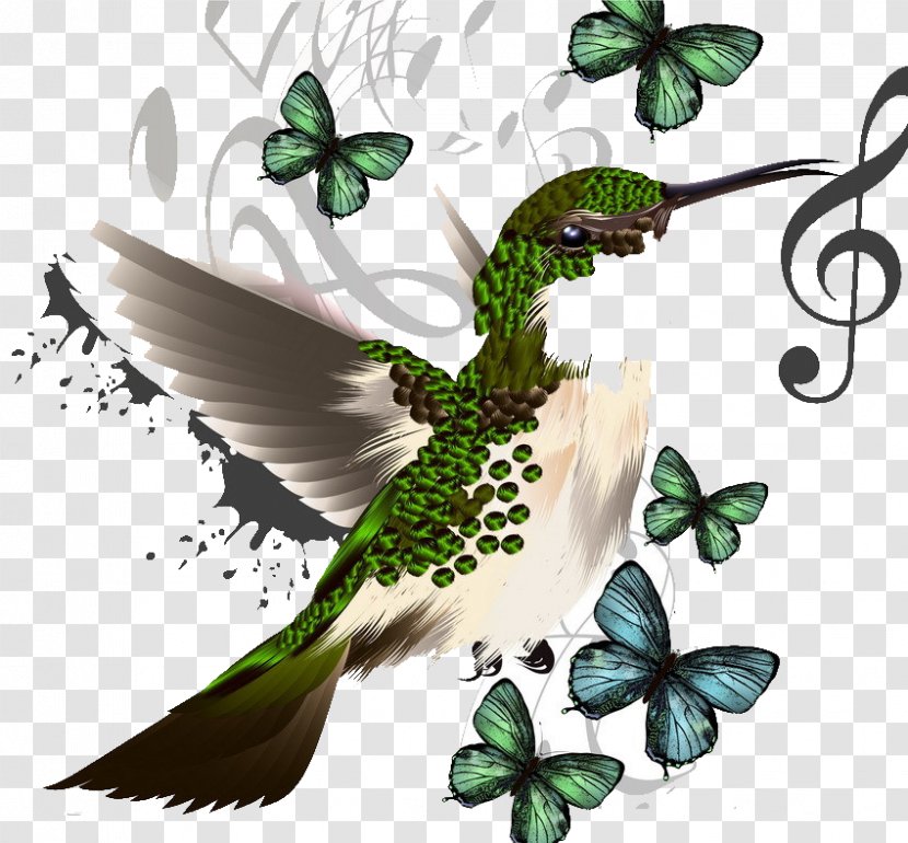Musical Note Stock Illustration Royalty-free Photography - Frame - Sparrow Transparent PNG