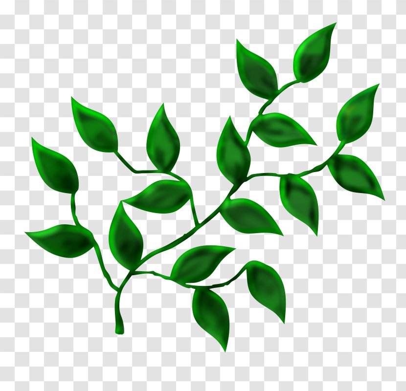 Leaf Tree Desktop Wallpaper Transparent PNG