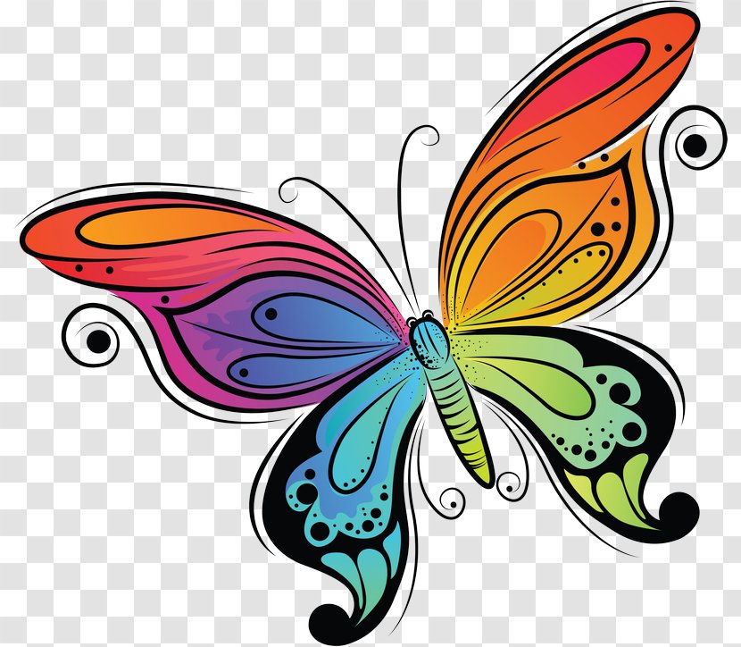 Butterfly Drawing Clip Art - Butterflies And Moths Transparent PNG