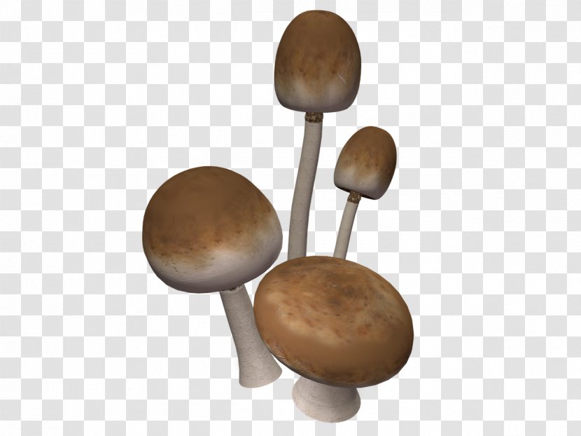 Mushroom Clip Art - Icon Design - Natural Transparent PNG