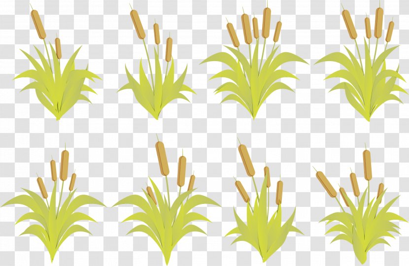 Green Grass Plant Clip Art Line - Wet Ink - Stem Transparent PNG