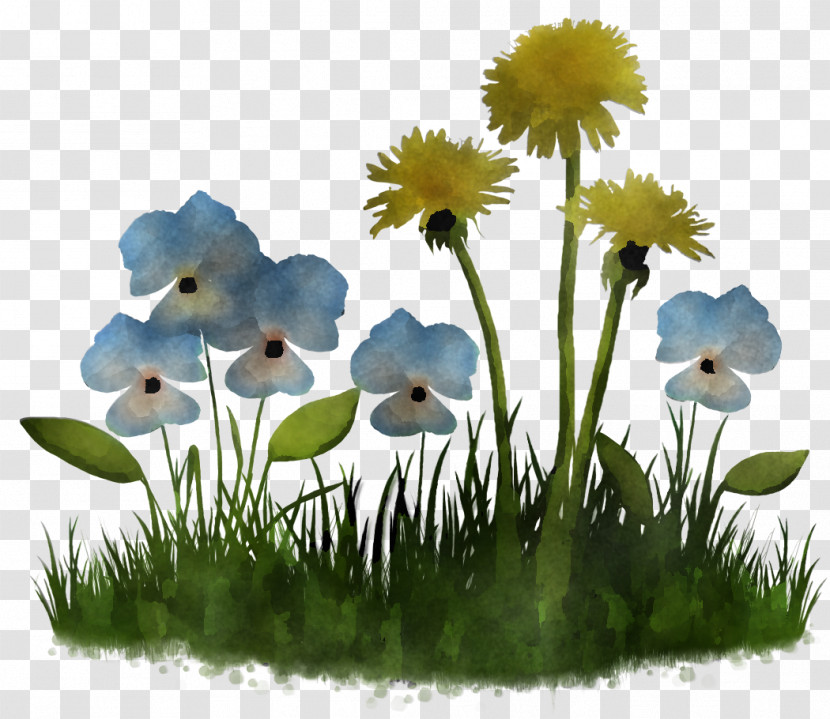 Daisy Transparent PNG