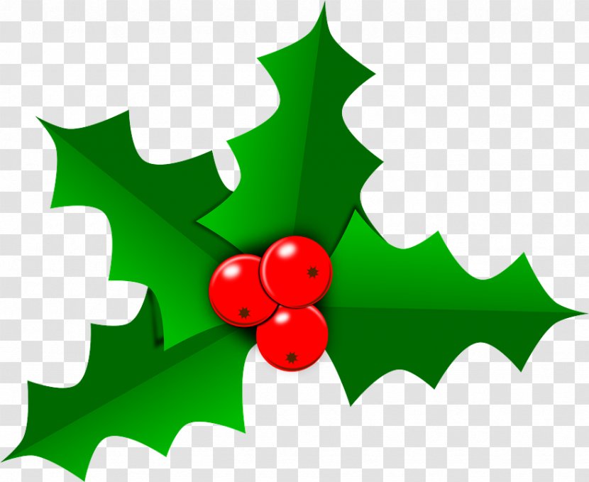 Holly - Green - Christmas Tree Transparent PNG