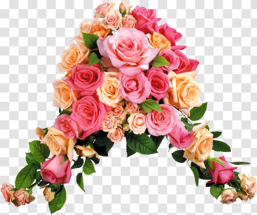 Rose Flower High-definition Video 1080p Wallpaper - Pink - Wedding Transparent PNG