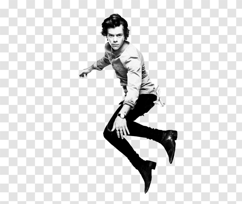 Harry Styles One Direction Where We Are Tour Photo Shoot Take Me Home - Silhouette - People Jump Transparent PNG