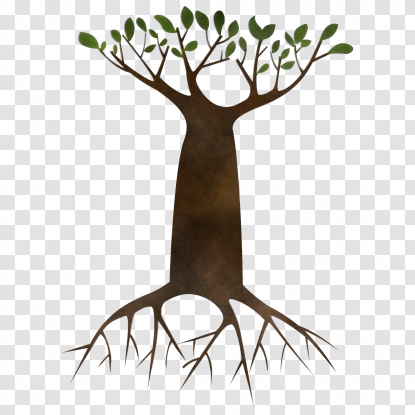 Tree Branch Root Woody Plant - Trunk Grass Transparent PNG