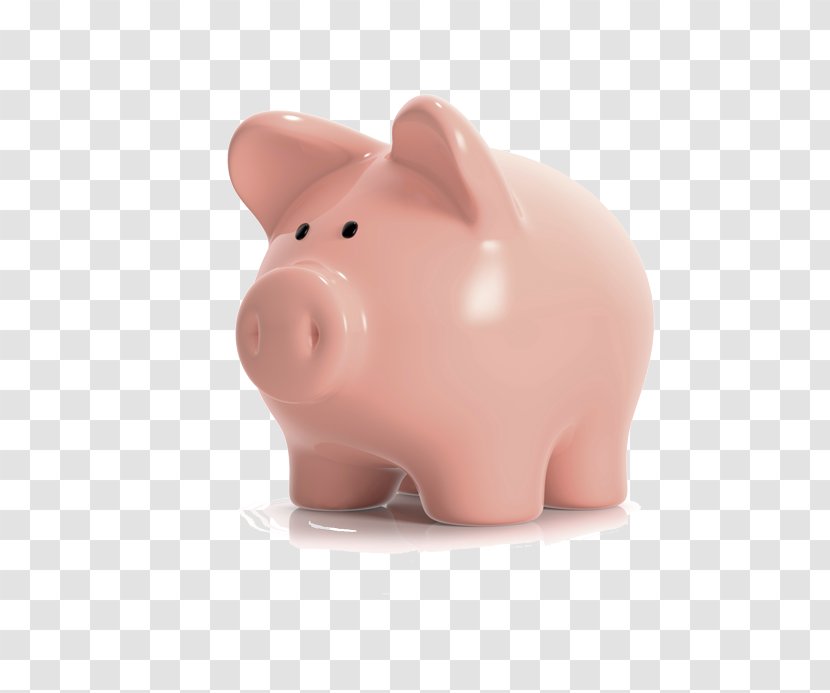 Piggy Bank Snout Product Design - Mammal - Dental Braces Transparent PNG