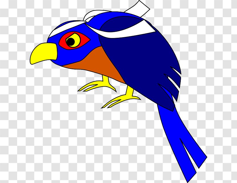 Bird Beak Clip Art - Macaw Transparent PNG