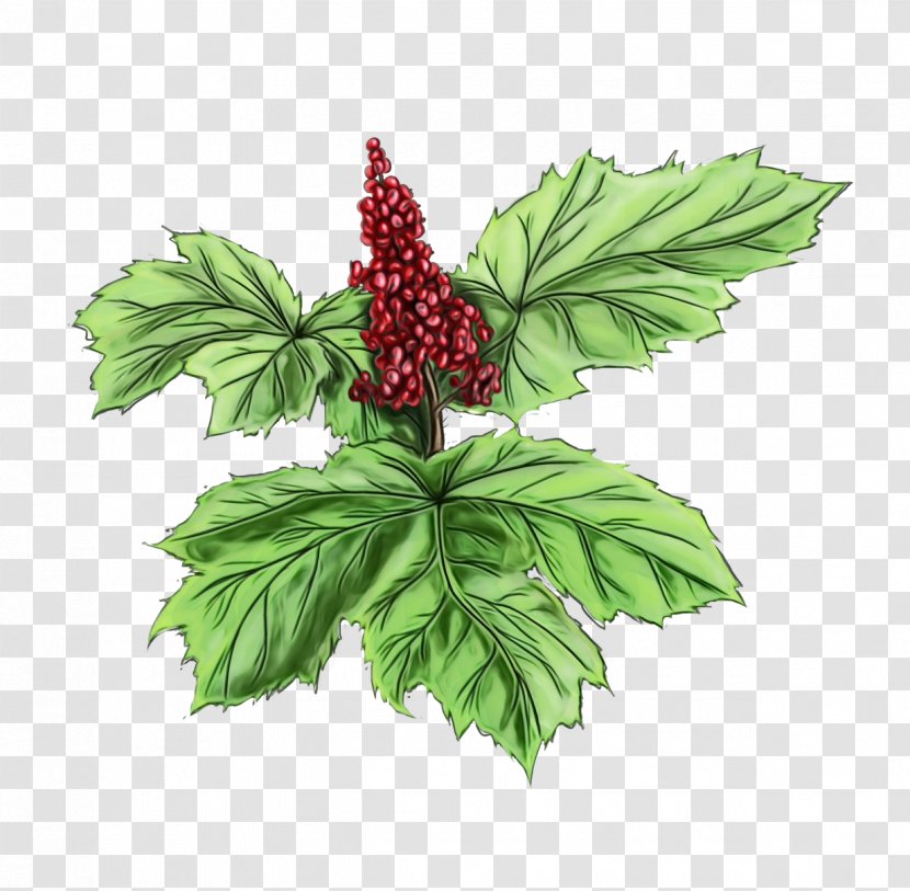 Leaf Cartoon - Strawberry - Fruit Berry Transparent PNG