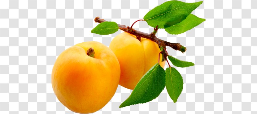 Juice Apricot Nectar Fruit Transparent PNG