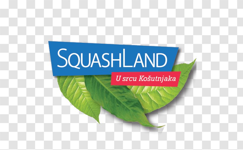 SquashLand Sport Vitorovic 0 - Tournament - Blic Transparent PNG