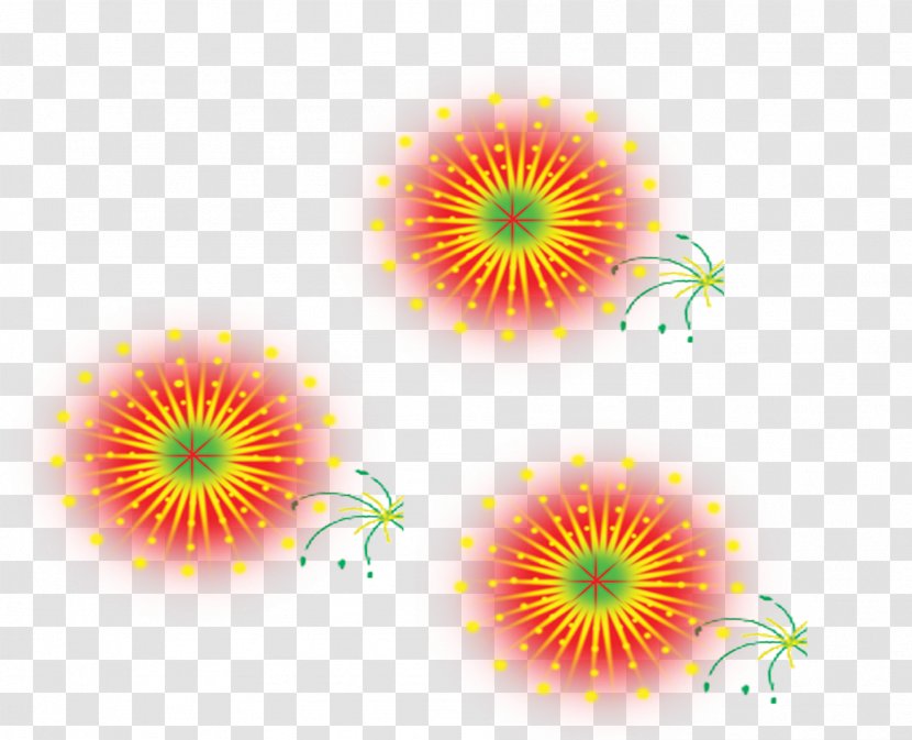 Fireworks Explosion - Flowering Plant Transparent PNG