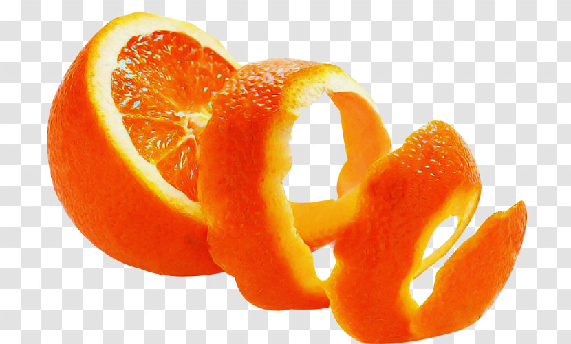 Orange Transparent PNG