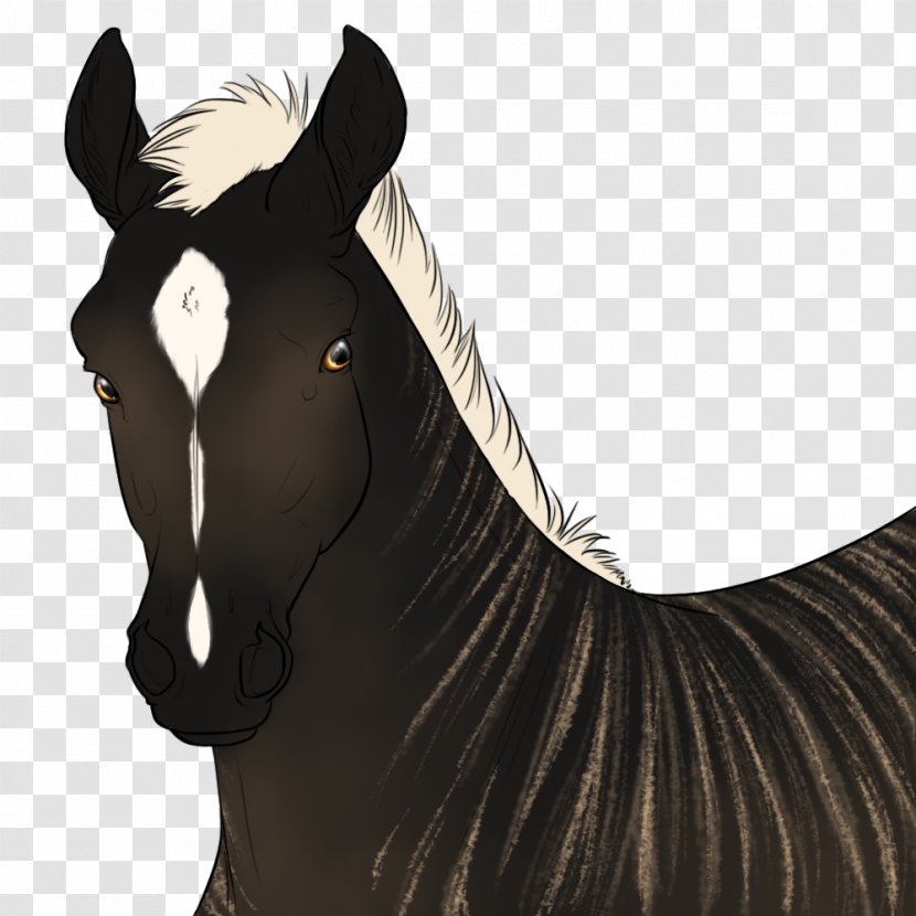 Mustang Stallion Bridle Halter Rein - Pony Transparent PNG