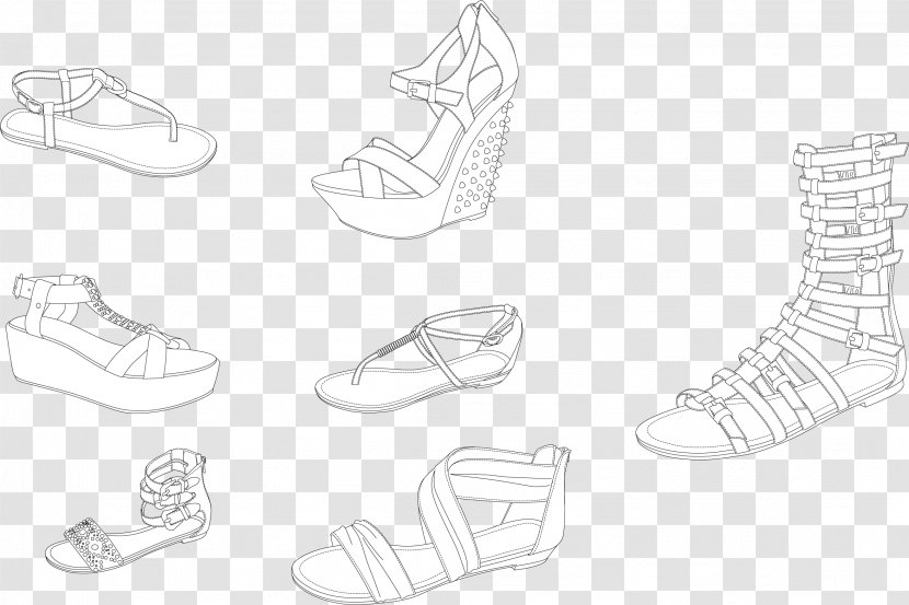 Sandal Shoe - Sports Equipment - Variety Fashion Style Summer Sandals Image Transparent PNG