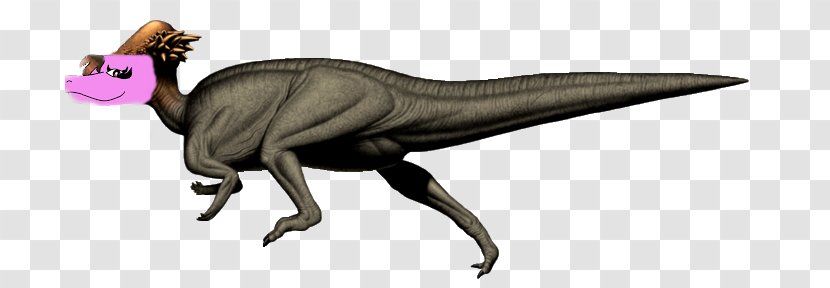 Velociraptor Pachycephalosaurus Triceratops Dinosaur Parasaurolophus - Organism Transparent PNG